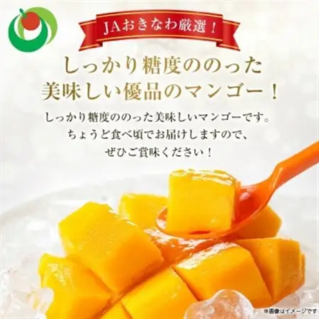 【発送月固定定期便】2027年発送 完熟アップルマンゴー＆キーツマンゴー 食べ比べ 全2回【配送不可地域：離島】【4012836】