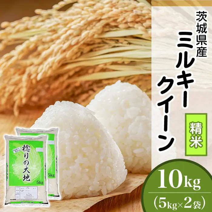 ミルキークイーン 10kg 精米 茨城県産 令和7年産【小松崎商事】440