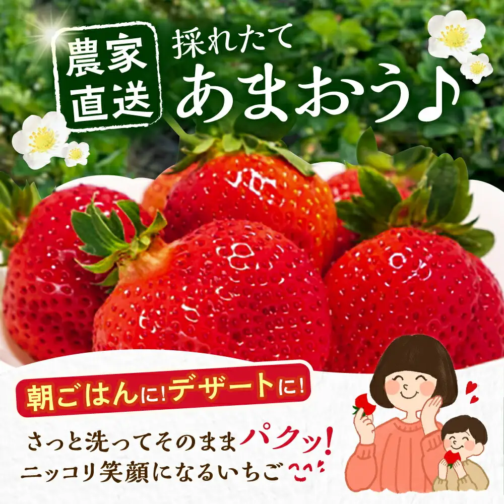 【先行予約】【2月-4月発送】農家直送 あまおう 厳選デラックスG 270g以上×4P[VAB001] いちご あまおう 果物