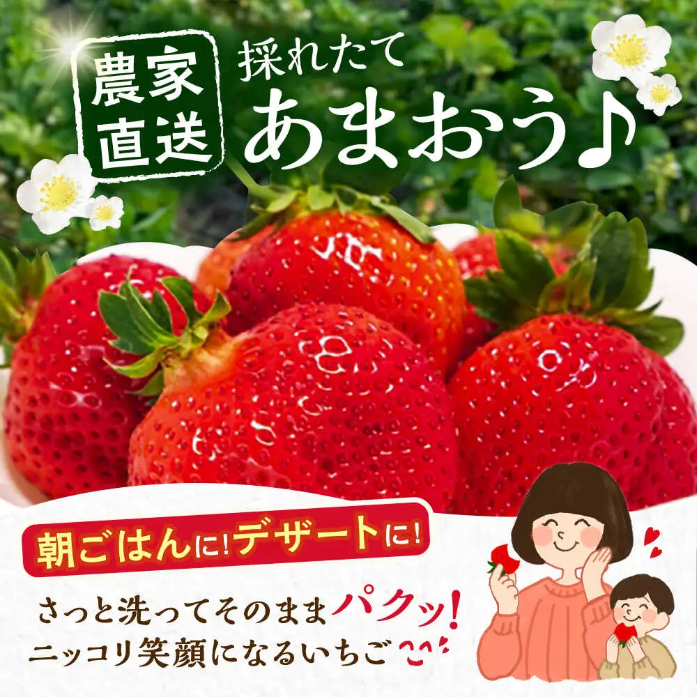 【先行予約】【1月発送】農家直送 あまおう 厳選デラックスG 1080g(270g以上×4P)土耕栽培[VAB003]果物 あまおう