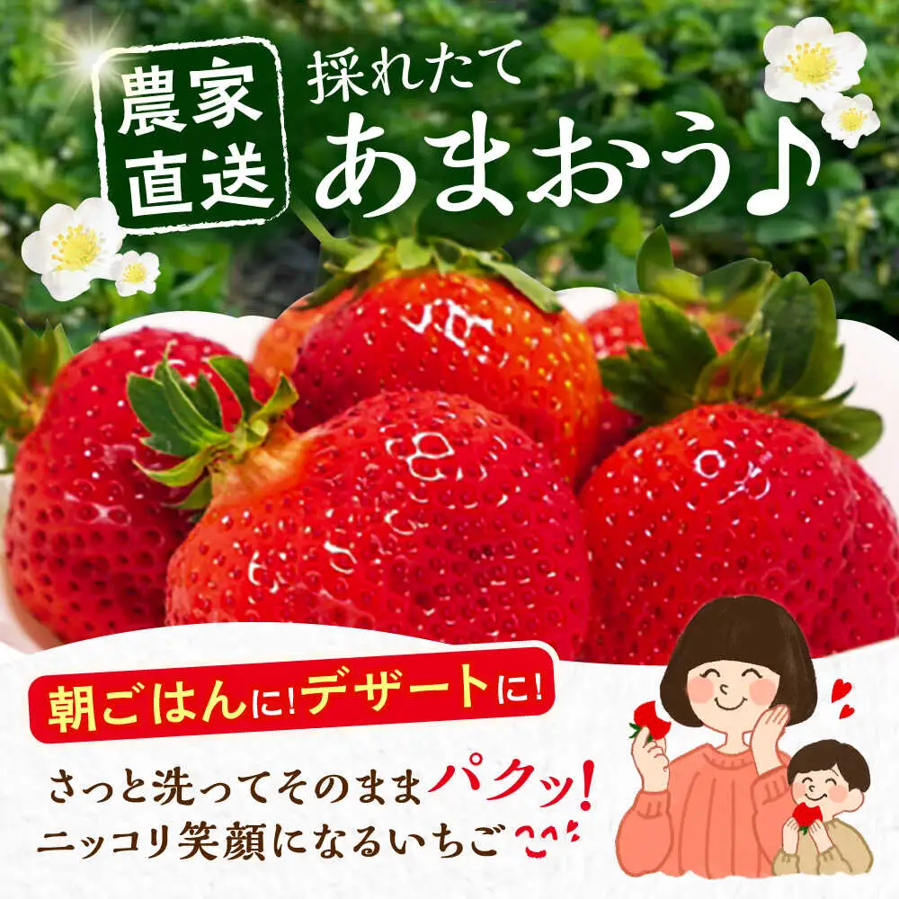 【先行予約】【1月発送】農家直送 あまおう 1080g(270g以上×4P)土耕栽培[VAB004]果物 アマオウ