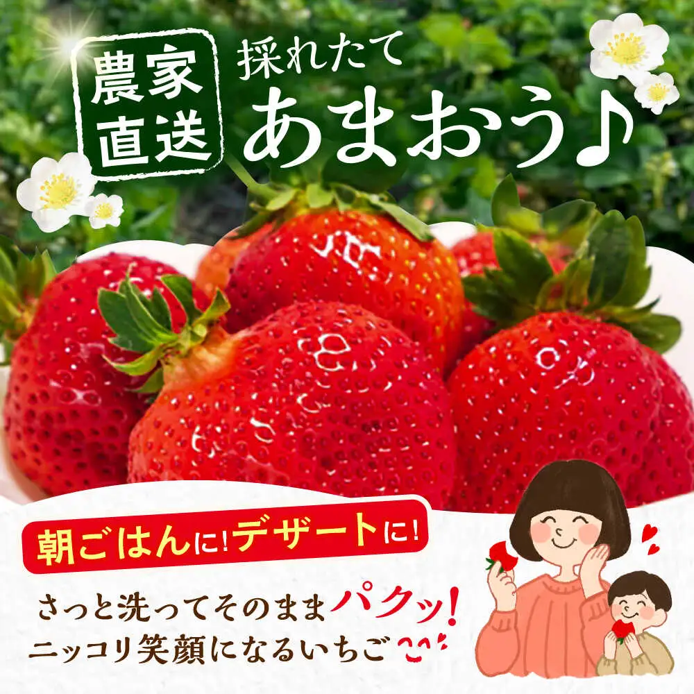 【先行予約】農家直送 あまおう270g以上×4P VAB006 あまおう いちご 果物 フルーツ ストロベリー