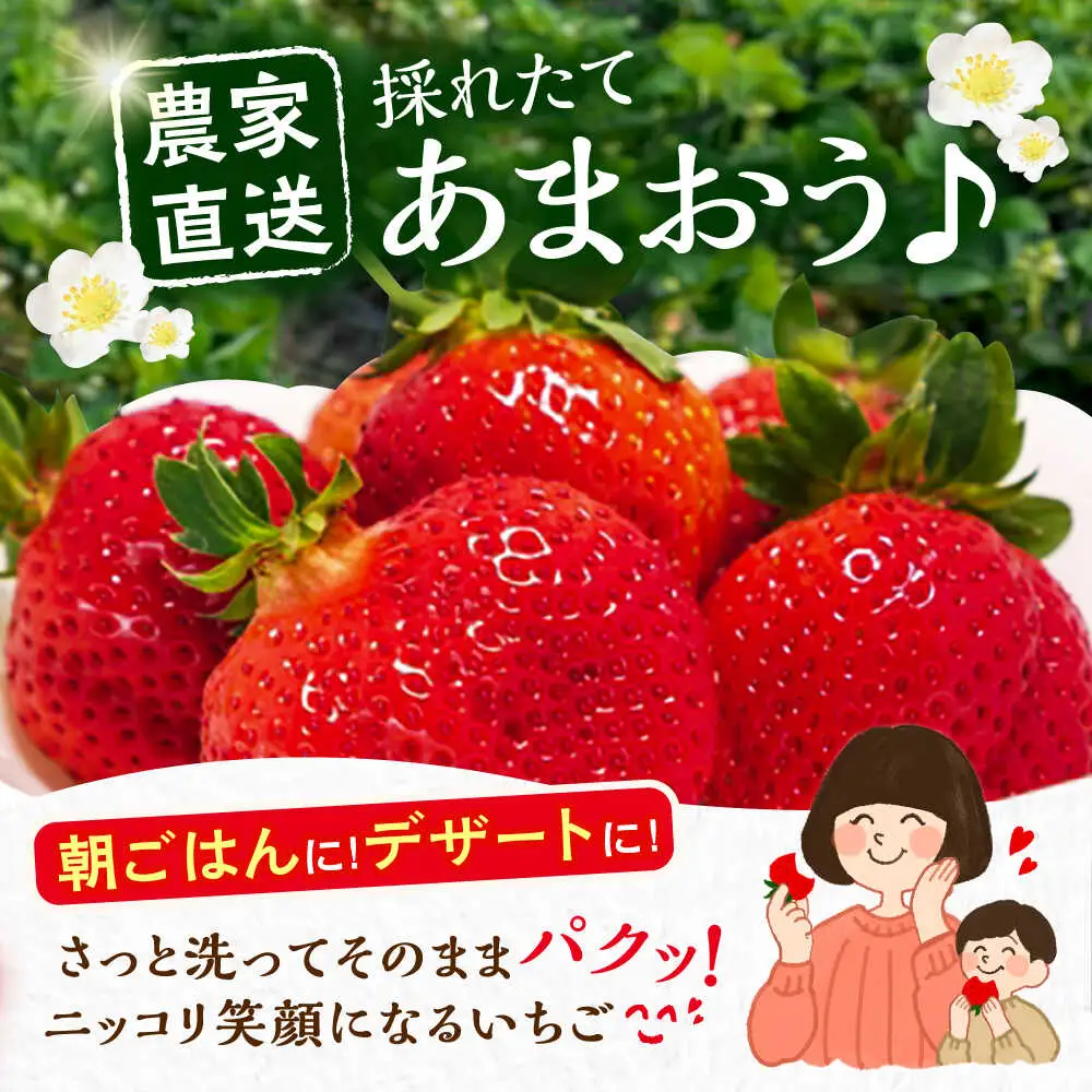 【先行予約】【2月-4月発送】農家直送 あまおう 厳選デラックスG 540g(270g以上×2P) 土耕栽培[VAB015]