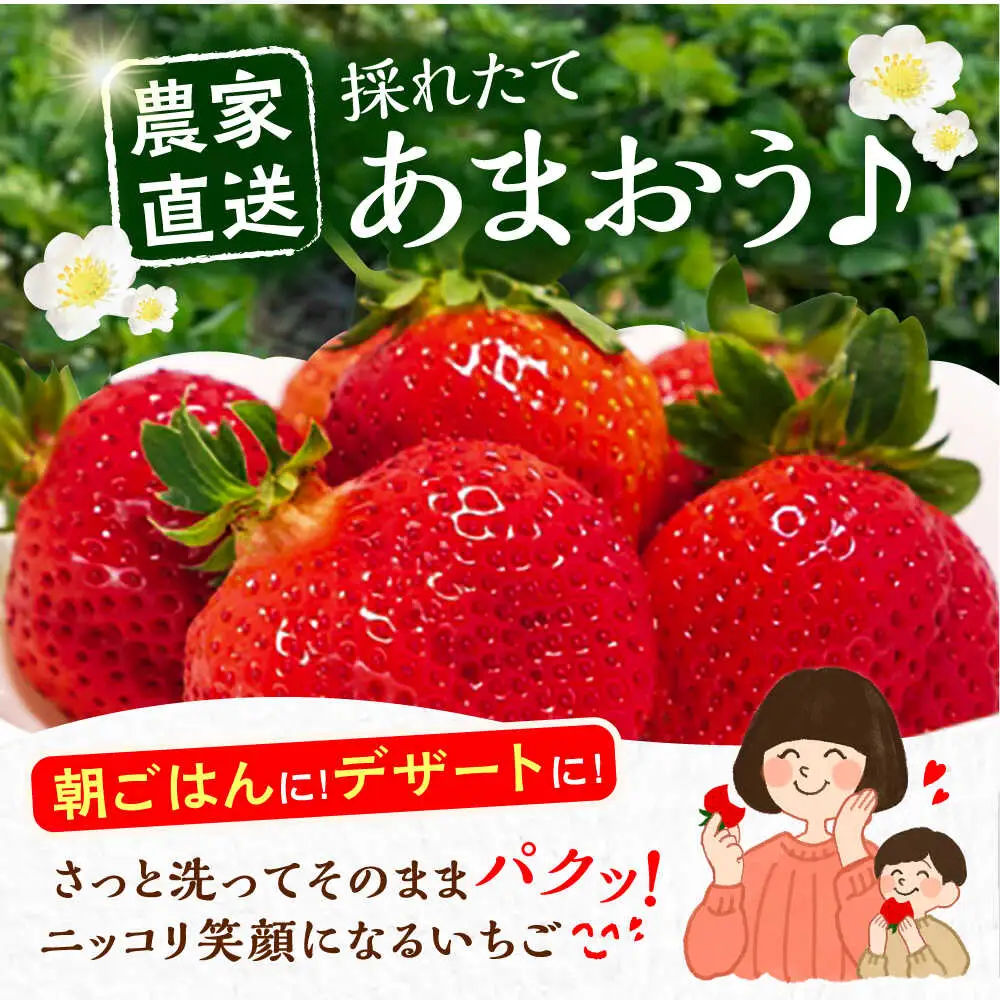 【先行予約】農家直送 あまおう 厳選デラックスG 270g以上×4P VAB020 苺 あまおう