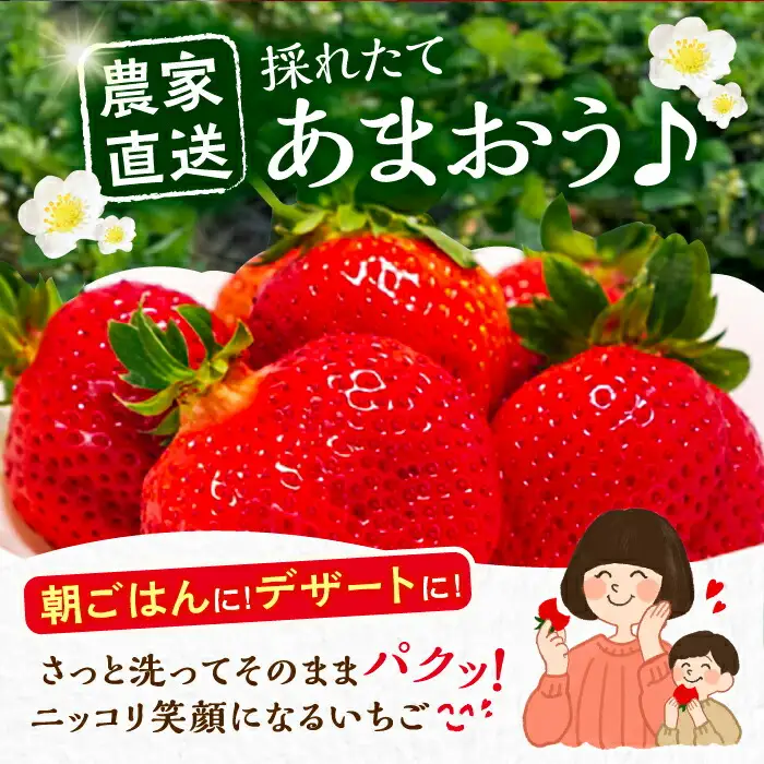 【先行予約】【全3回定期便】あまおう 厳選デラックスG 270g以上×4P VAB022 いちご あまおう