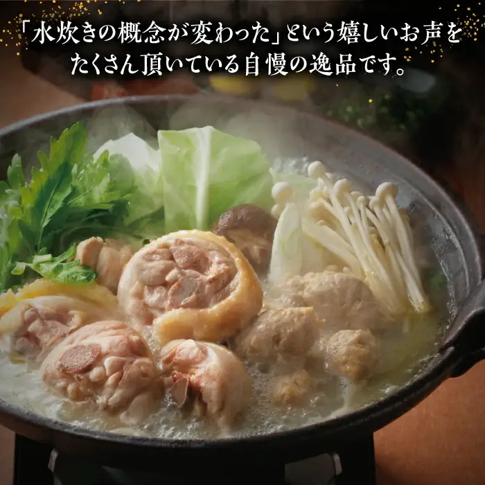 博多華味鳥 水炊きセット ちゃんぽん付き 3-4人前[VAC003]水炊き