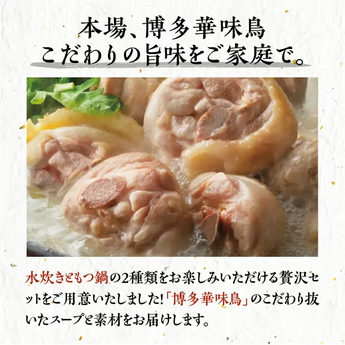 【全6回定期便】博多華味鳥 水炊き＆もつ鍋 セット 6~8人前 [VAC019]博多 福岡 鍋 鶏 水たき みずたき もつ もつ鍋