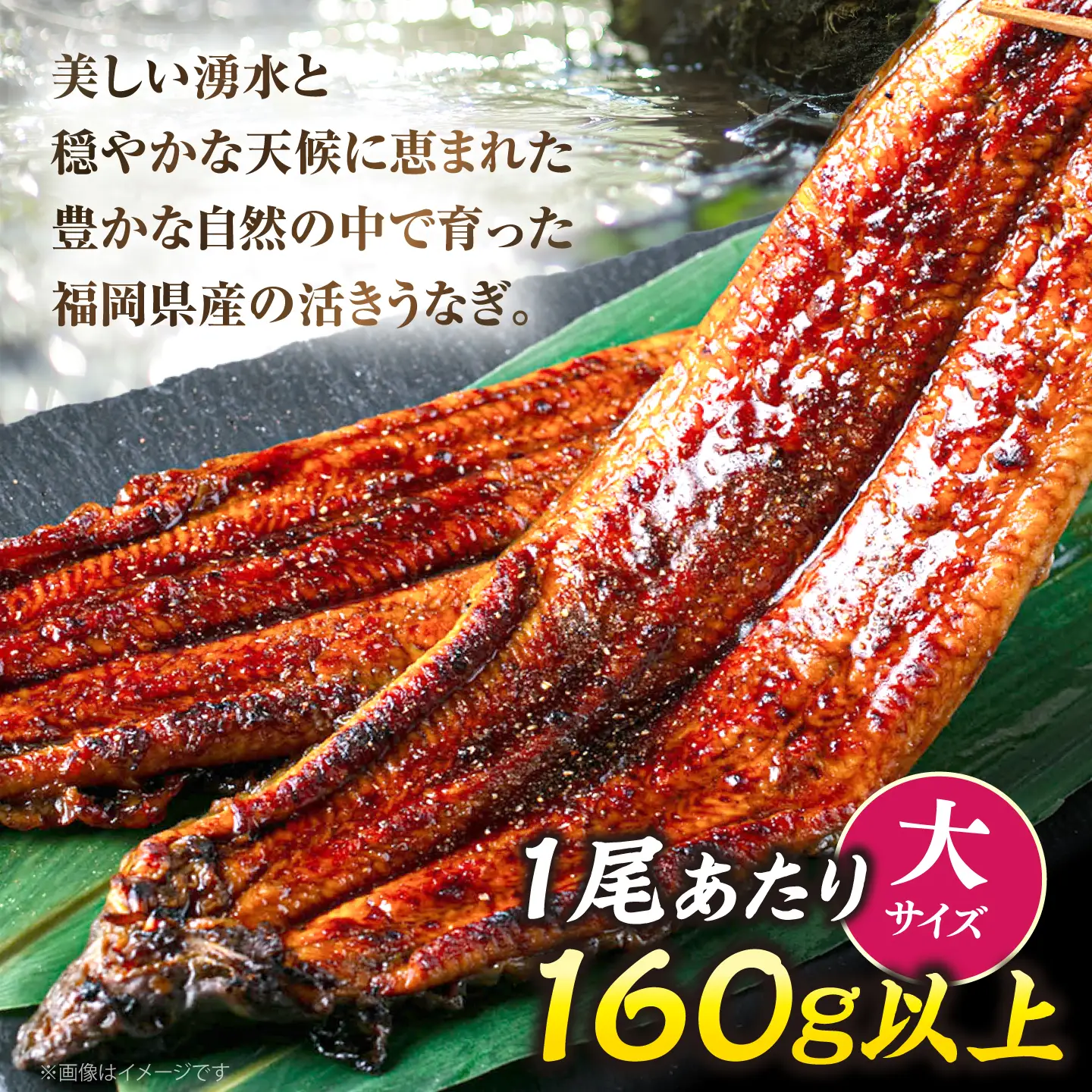 鰻 蒲焼大2尾 計320g 鰻 VAD002