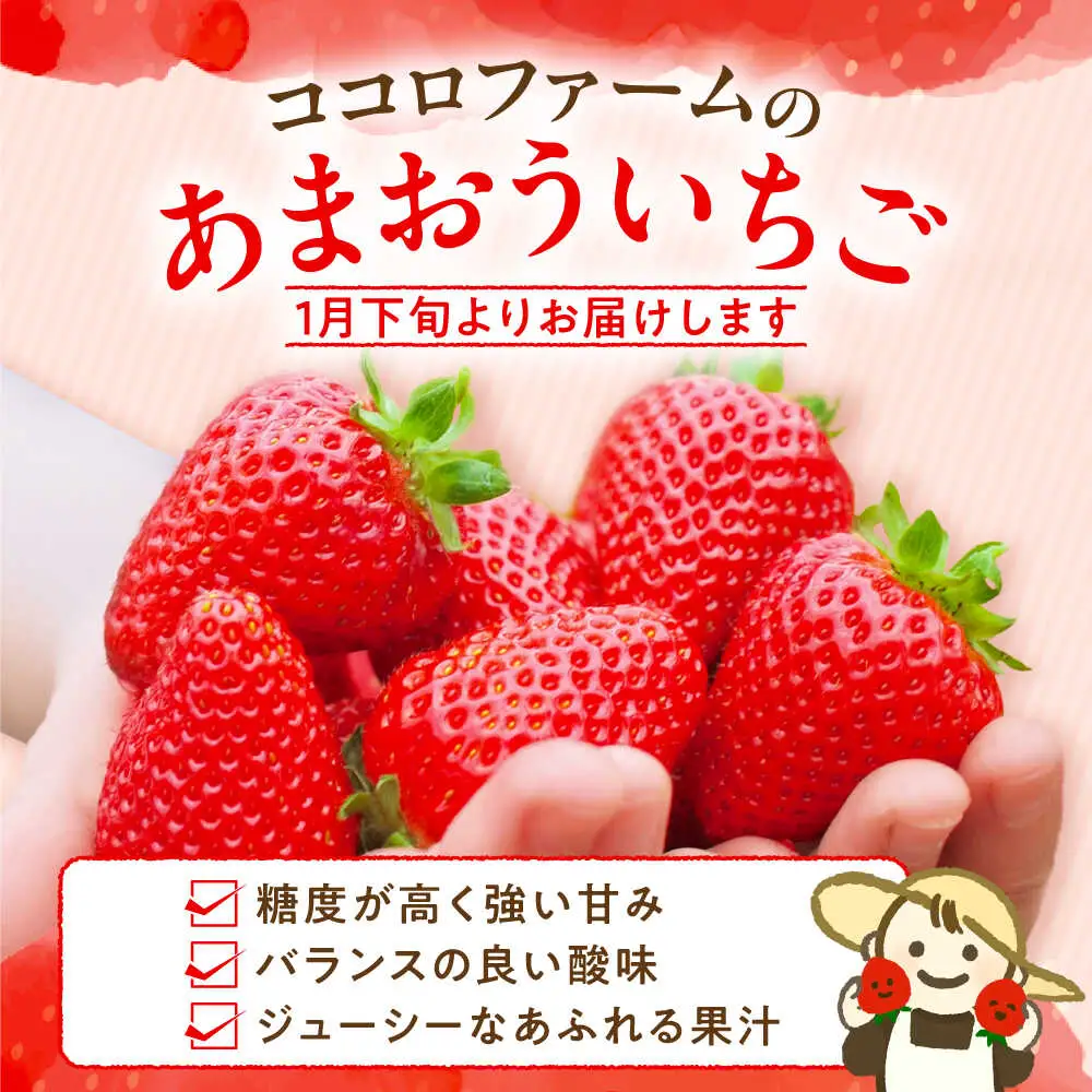【先行予約】ココロファームの濃厚あまおう 270g×2P VAE007 いちご あまおう