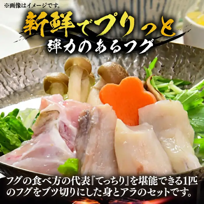 国産活本ふぐ（とらふぐ）鍋用 [VAF010] とらふぐ ふぐ 鍋