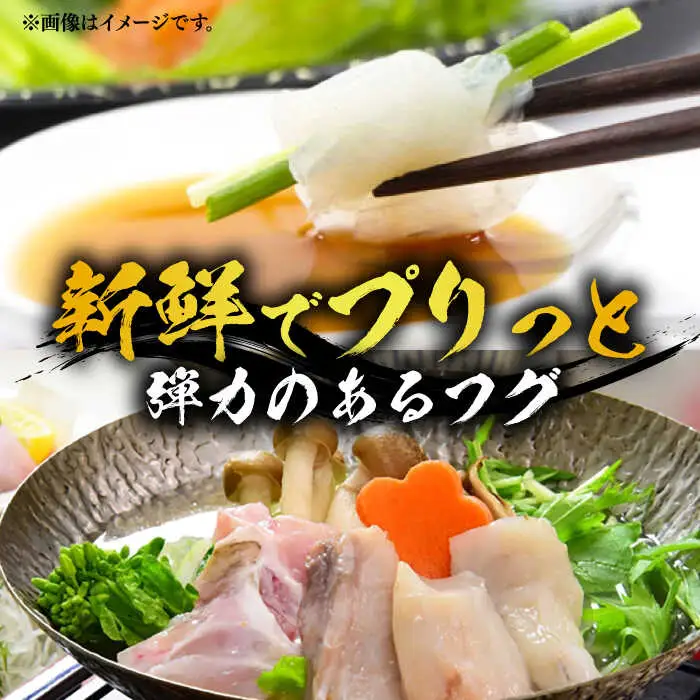 【先行予約】白子たっぷり 国産活本とらふぐ 堪能コース 4-5人前 VAF037 とらふぐ