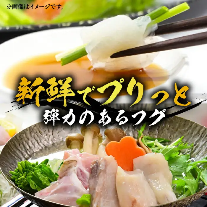 【先行予約】白子付き 国産 活本とらふぐ堪能コース 4-5人前 VAF039 とらふぐ