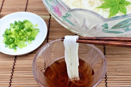 [夏季限定] ひやむぎ [250g×5袋] つゆ付 / 盛谷製麺 7月～9月上旬配送[35-02]
