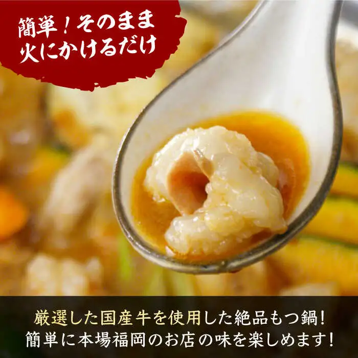 新元祖味噌もつ鍋 2-3人前 (ちゃんぽんorうどん+野菜) VAH027 国産牛 もつ鍋 ホルモン