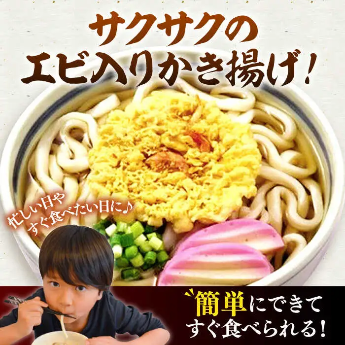 【全6回定期便】天ぷら うどん 12食[VAI056]うどん 天ぷらうどん 天ぷら 麺 麺類
