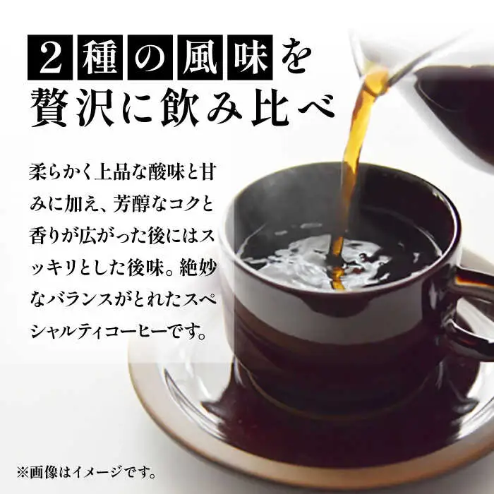 【全12回定期便】キリマンジャロ コーヒー 2種 ( 浅煎り フルーツフレーバー ＆ 中煎り チョコレートフレーバー )[VAS193]珈琲 コーヒー 