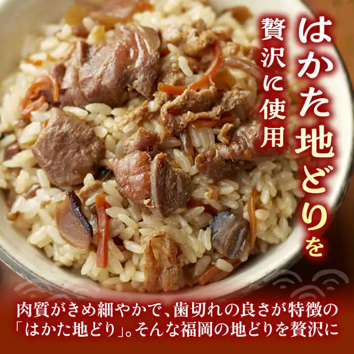 【全12回定期便】地どり飯の素 セット 190g×3袋 [VBA025]ご飯の素 地鶏飯 炊き込みご飯の素