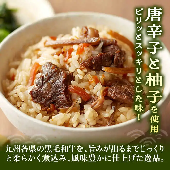 【全6回定期便】牛すじ飯の素 セット 200g×3袋 [VBA027]ご飯の素 牛すじ飯