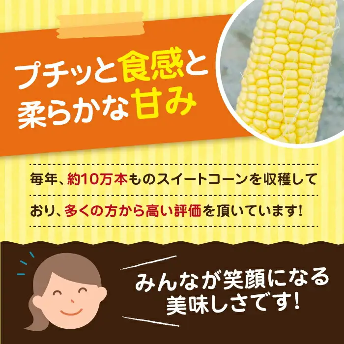 【先行予約】スイートコーン 約4kg 9-12本 VBC001 コーン とうもろこし