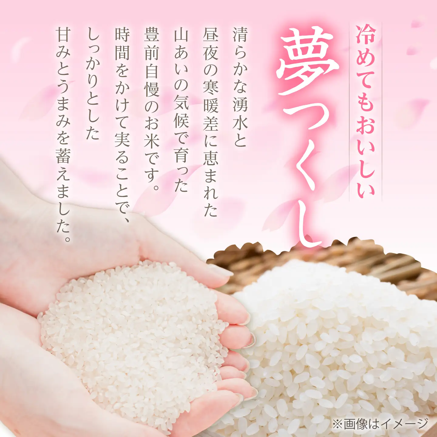 令和8年産 新米 夢つくし 10kg VBC003 新米