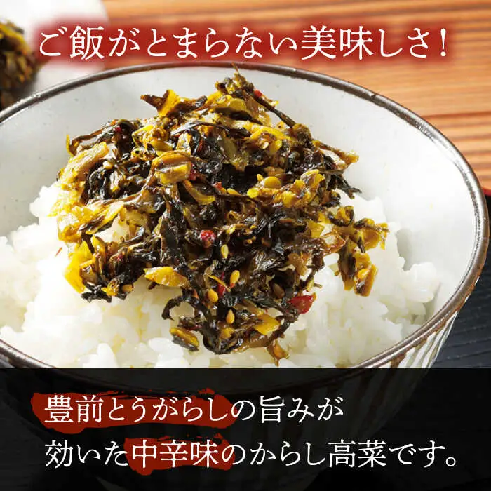 からし高菜120g×6個セット[VBG004]【株式会社瑞穂】