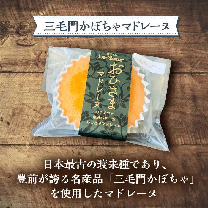【全12回定期便】おひさまマドレーヌ 10個 詰め合わせ (おひさま5個 三毛門かぼちゃ5個) VBI026 マドレーヌ