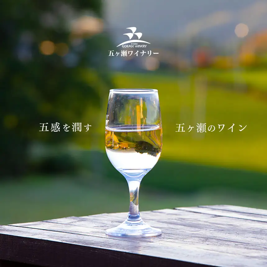 五ヶ瀬ワイン　デラウェア（白・やや甘口）