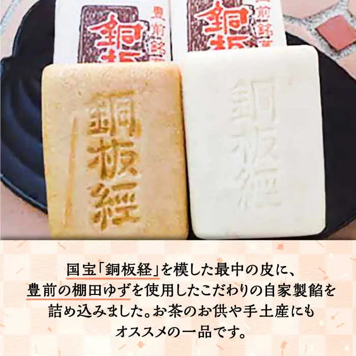 【全3回定期便】【進物箱】銅板経最中 12個入り[VBU011]ギフト 贈り物 和菓子 饅頭