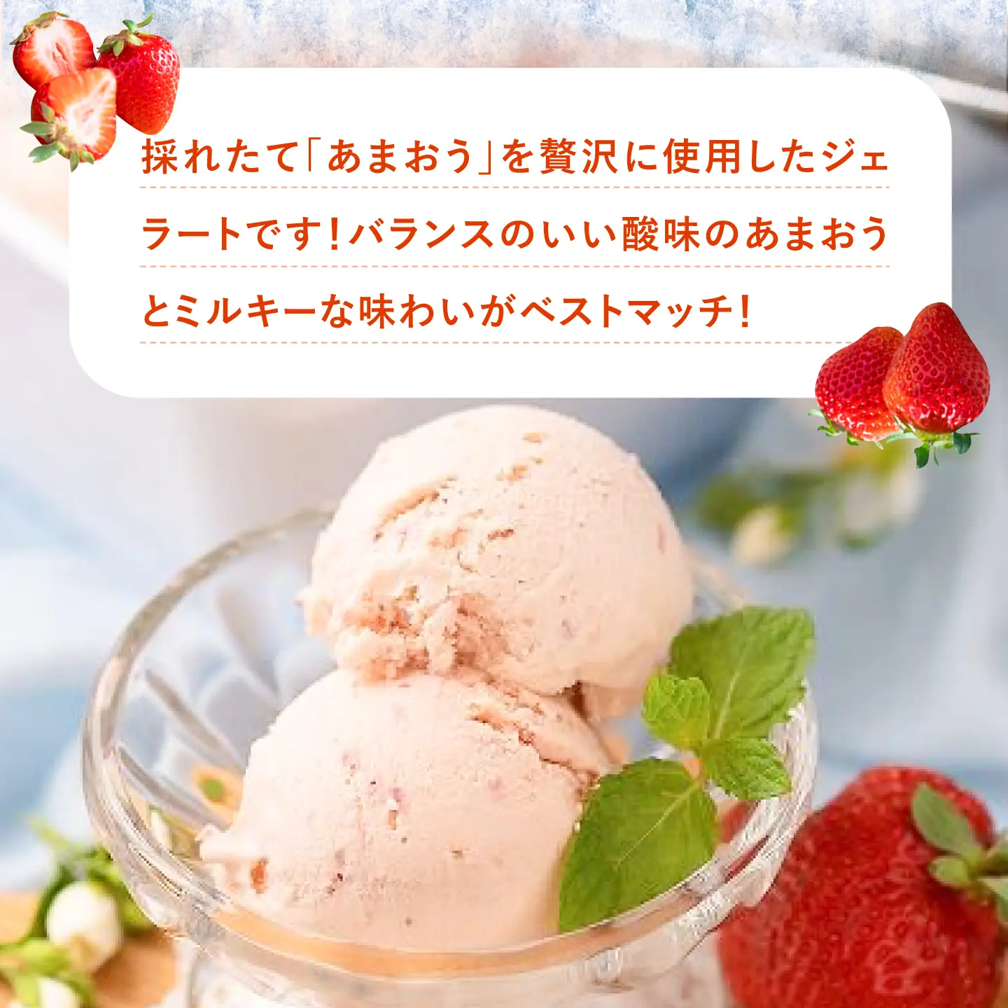 厳選あまおう ジェラート 100ml×6個 VBY002 アイス ジェラート あまおう
