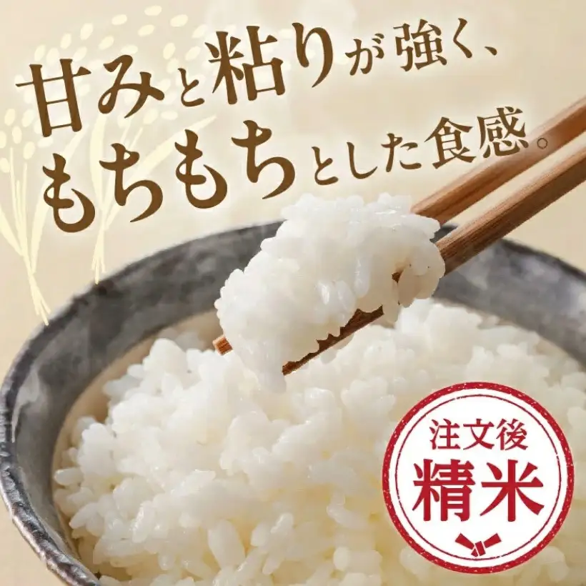 コシヒカリ精米 10kg [ コシヒカリ ] / 002109A