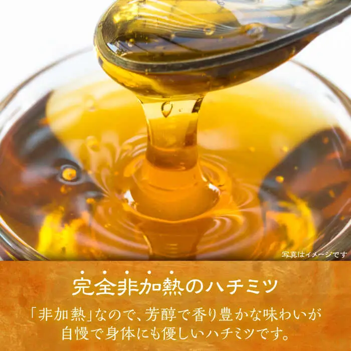 日本ミツバチの蜂蜜 150g×2本 ギフトセット VCM001 はちみつ