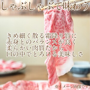 黒毛和牛 定期便 3回発送 サーロインステーキ 約400g ×2回  黒毛和牛