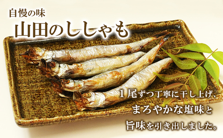 A1-1808／冷凍 子持ち からふとししゃも 1kg