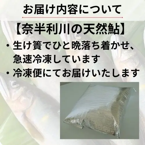 107002　奈半利川の友釣り天然アユ（冷凍）９尾