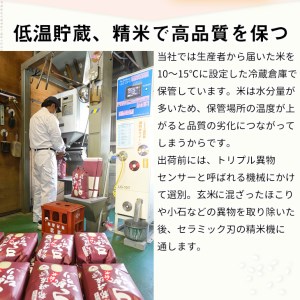 米 コシヒカリ・きぬひかり 食べ比べ 10kg 精米 白米