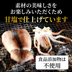 絶品！肉厚烏賊の一夜干し1kg/ いか イカ 烏賊 するめイカ 一夜干し 肴 つまみ おかず 海鮮_2366R