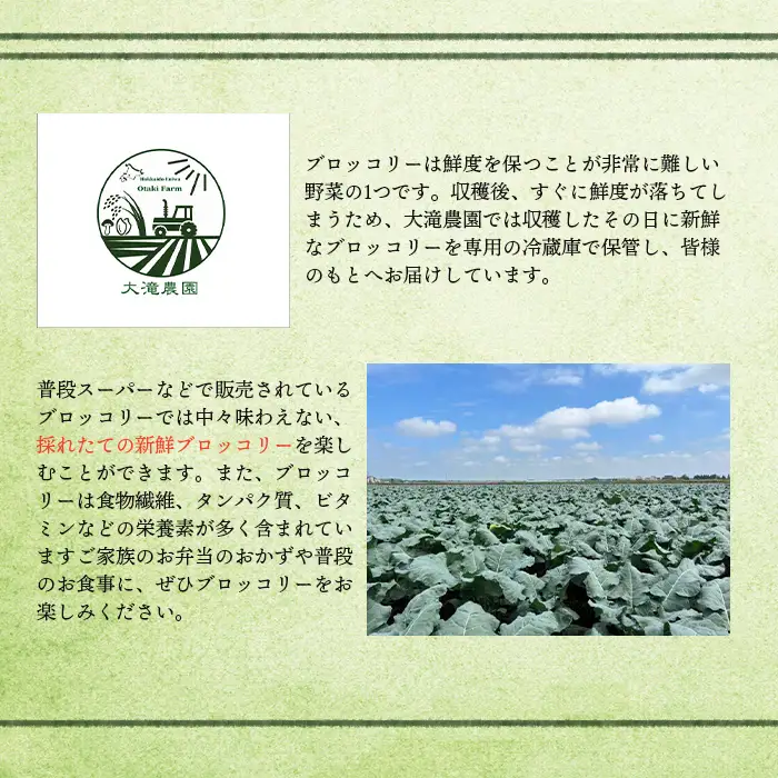 北海道恵庭産採れたてブロッコリー3個【80000901】