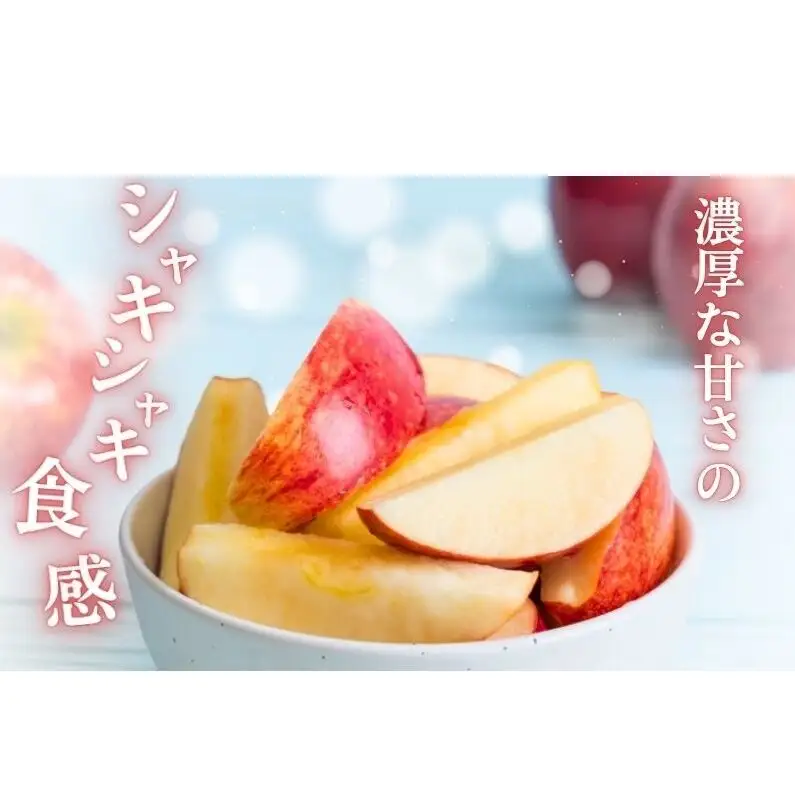 りんご 長野 贈答用 リンゴ シナノスイート 約3kg （12玉） 産地直送 ギフト プレゼント 贈答 贈答品 贈り物 フルーツ 果物 デザート 林檎 秋 旬 信州 長野県 長野県産