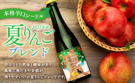シードル 375ml 1本 きめ細かい泡立ち 爽快で深み感じる 本格 辛口シードル 2022年産 夏りんごブレンド ハーフボトル 辛口 りんご お酒 酒 アルコール おうちごはん 長野 長野県 箕輪町