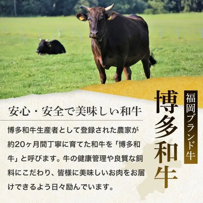 博多和牛 肩ロース 800g ( 焼肉用400g・スライス400g )