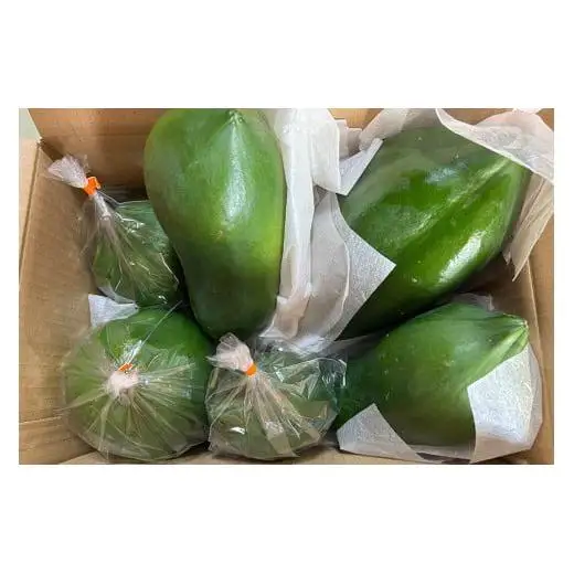 JJ001　宮古島産青パパイヤ（3kg）