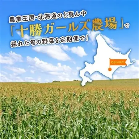 【発送月固定定期便】直送!【北海道の定番便】十勝ガールズ農場の野菜セレクション全3回_野菜 とうもろこし  トウモロコシ  野菜 アスパラガス    野菜 じゃがいも いも ジャガイモ 馬鈴薯  定期便 定期便  _【配送不可地域：離島】【4012917】