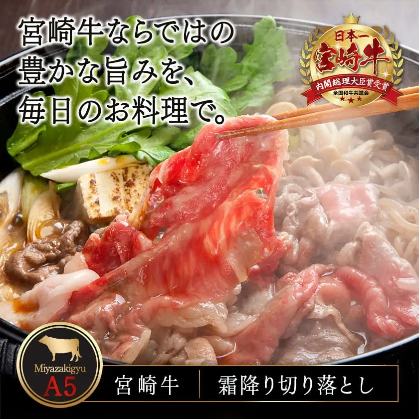 宮崎牛(A5)霜降り切り落とし すき焼き用900g ≪みやこんじょ特急便≫〔AD-0117-Q〕_(都城市) A5等級 国産黒毛和牛 すきやき用 牛肩 牛バラ霜降り切り落とし 300g×3 牛バラ肉 牛ばら 自慢の逸品