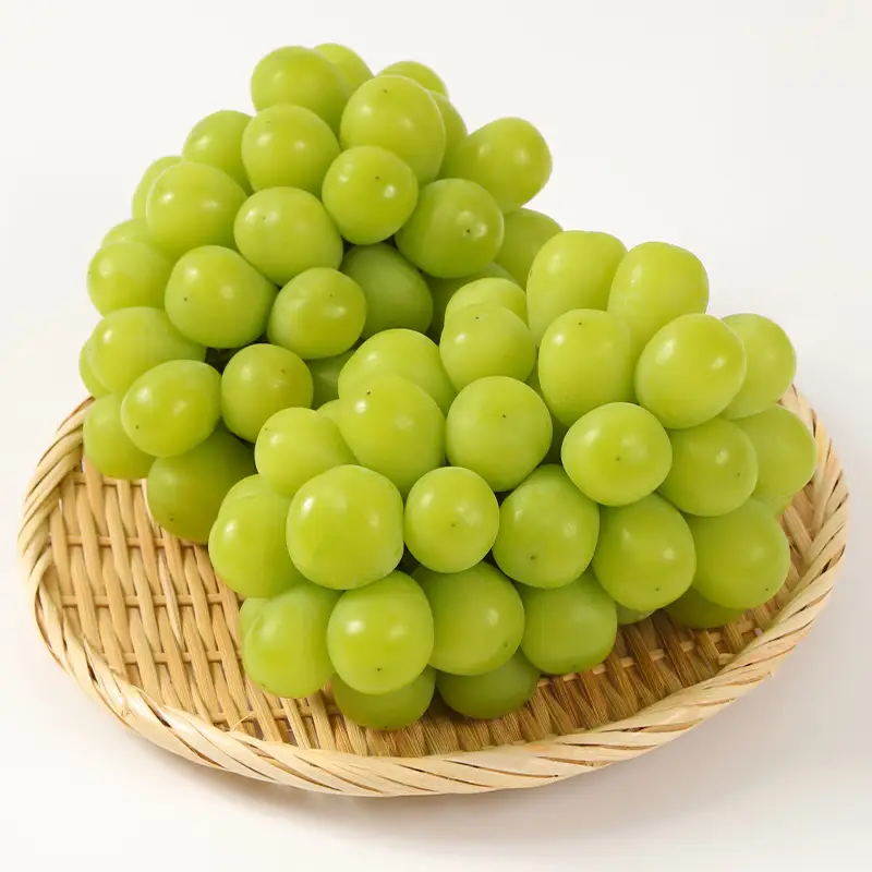 【満足の2～3房】こだわりのシャインマスカット 約1.2kg 山形市産 (9月中旬～10月上旬順次発送)【令和8年産先行予約】 FS24-544 くだもの 果物 フルーツ 山形 山形県 山形市 2026年産