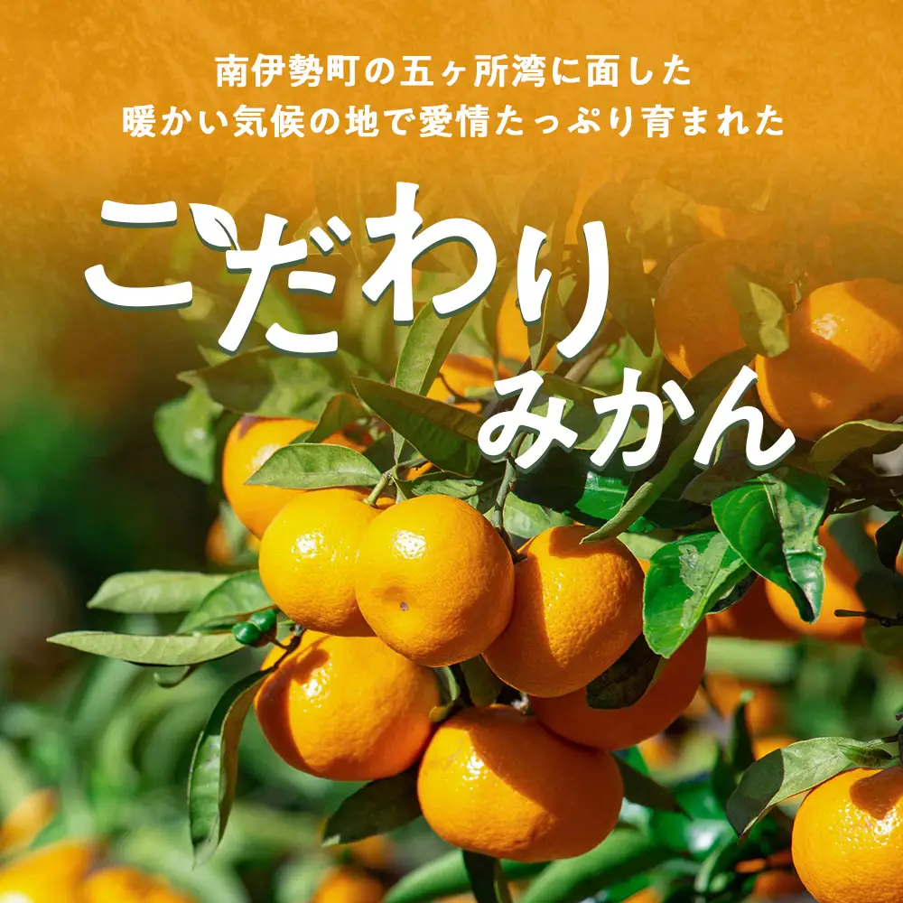 蜜柑 みかん 約 5kg 令和8年 12月発送 ないぜしぜん村 先行予約 産地直送 国産 国内産 三重 南伊勢