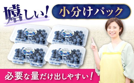 【2027年7月上旬頃より順次発送予定】生ブルーベリー 1kg（250g×4袋）/ ベリー べりー ブルーベリー ぶるーべりー 生 小分け 果物 くだもの フルーツ ふるーつ / 大村市 / おおむら夢ファームシュシュ[ACAA005]