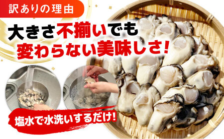 【訳あり】 生牡蠣 むき身1kg 牡蠣[XAO022]