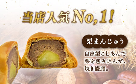 和菓子 饅頭バラエティー10個 饅頭 和菓子[XAV001]