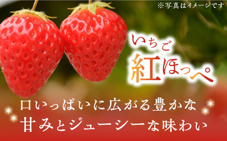 いちご狩り体験ペアチケット いちご イチゴ 苺[XBA007]