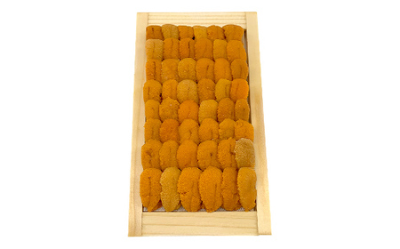 【北海道産・極上・列盛】えぞバフンうに贅沢食べ比べセット（折2枚・塩水1枚） 北海道 釧路 ふるさと納税 うに 雲丹 魚介類 海産物 高級 贈答用 豪華 F4F-0638